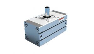 Rotary Cylinder Rack & Pinion type